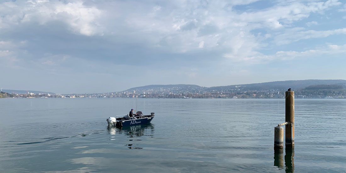 Zürichsee Guiding-Boot Michi