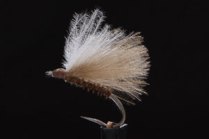F-Fly brown-0