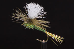 Parachute olive