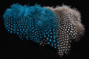 Strung Guinea Feathers-0