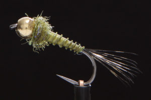 Biot Nymph olive-0