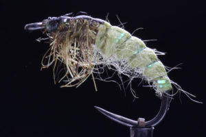 Czech Nymph green