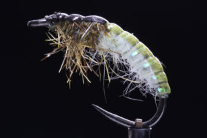 Czech Nymph hydropsyche light-0