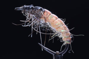 Czech Nymph fluo orange-0