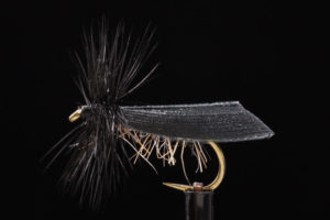 Sedge black-0