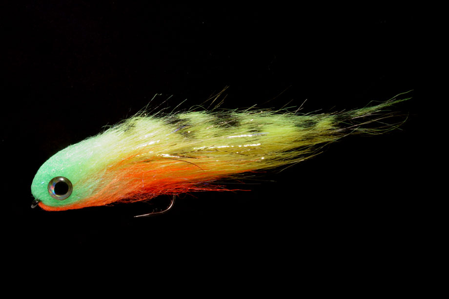 Nase firetiger