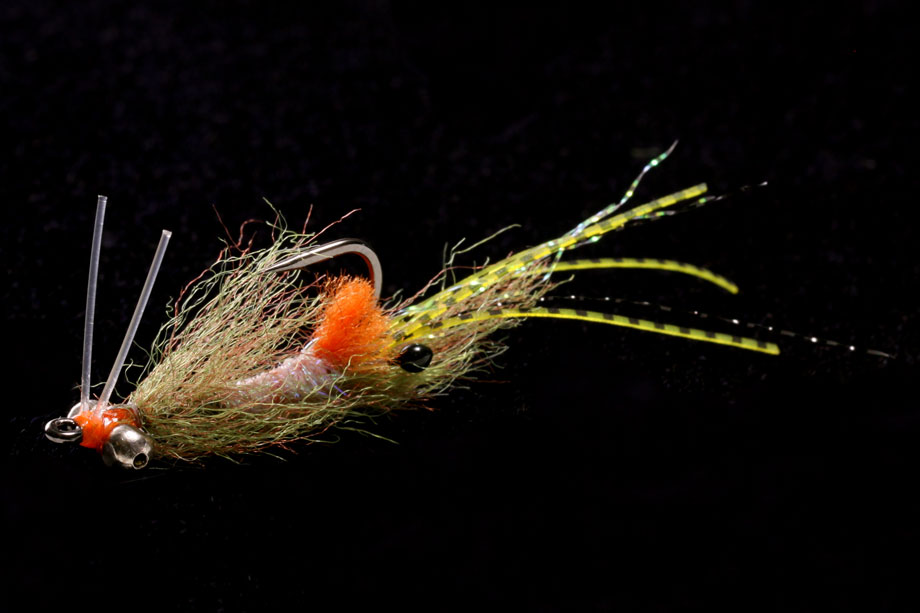 EP Spawning Shrimp olive