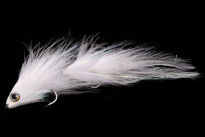 Andreas Andersson's Ragdolly white