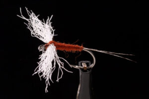 Poly Wing Rusty Spinner