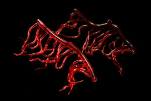 Mini Squiggle Worms