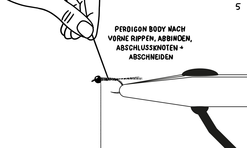 perdigon_05 Perdigon 5