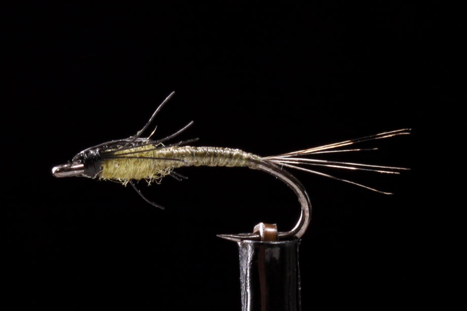 Baetis Nymph olive