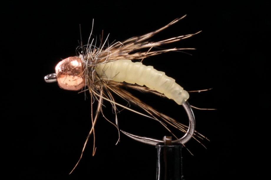 Caddis natural