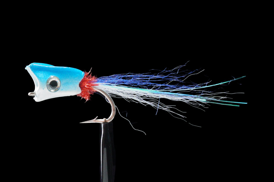Gnarly Headz Equalizer white/blue